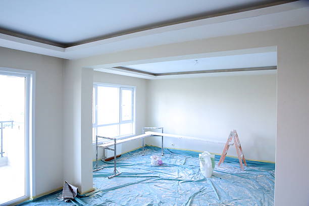 Best Drywall Removal and Disposal  in Ferrum, VA